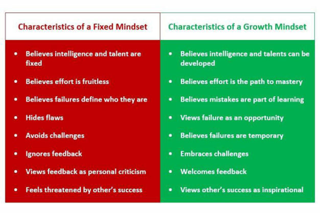 MMS Management College in Thane - ‘Rising from The Ashes’ with the Growth Mindset