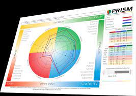 Prism Brain Mapping at Dr. V. N. BRIMS.